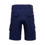 Picture of Hard Yakka 3056 Canvas Shorts Y05411